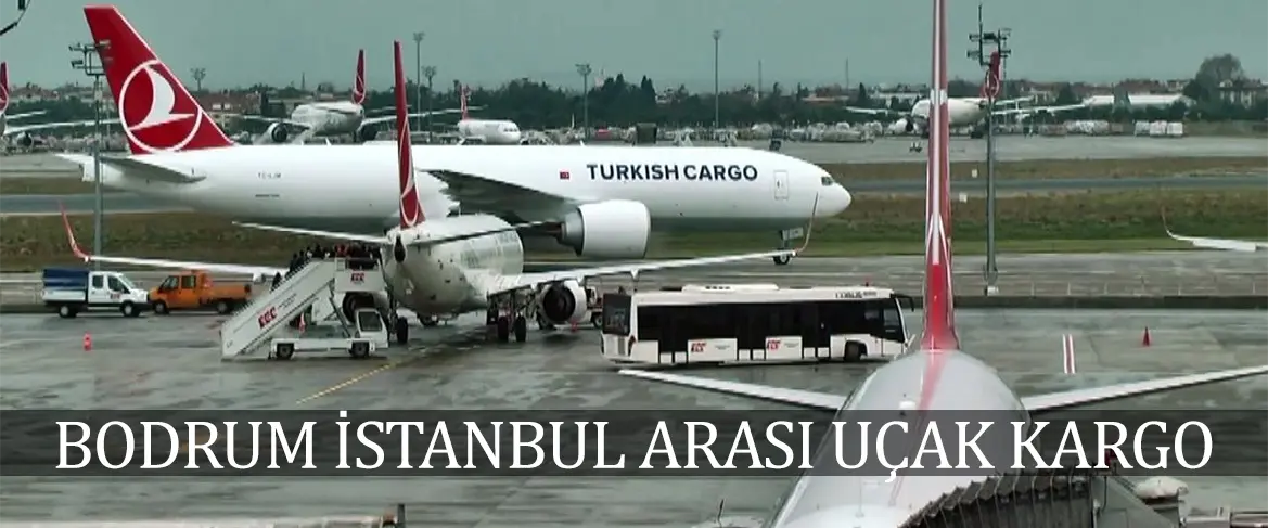 Bodrum İstanbul Arası Uçak Kargo
