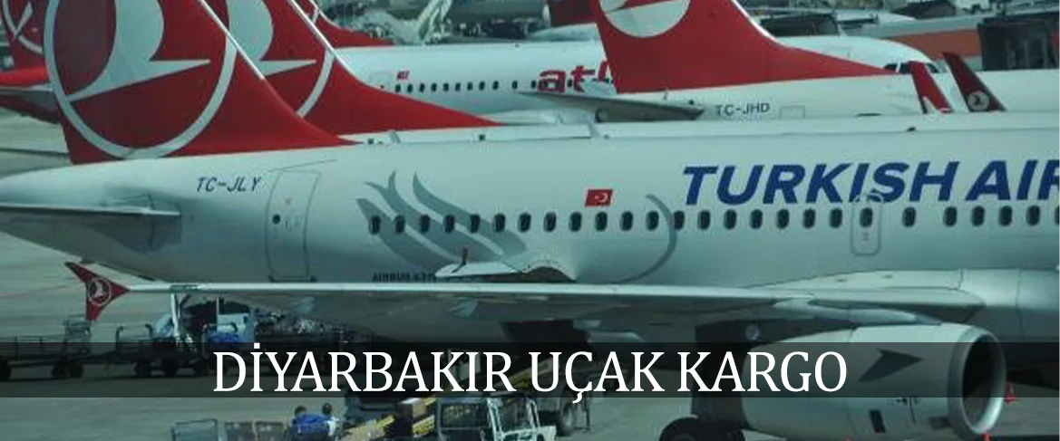 Diyarbakır uçak kargo