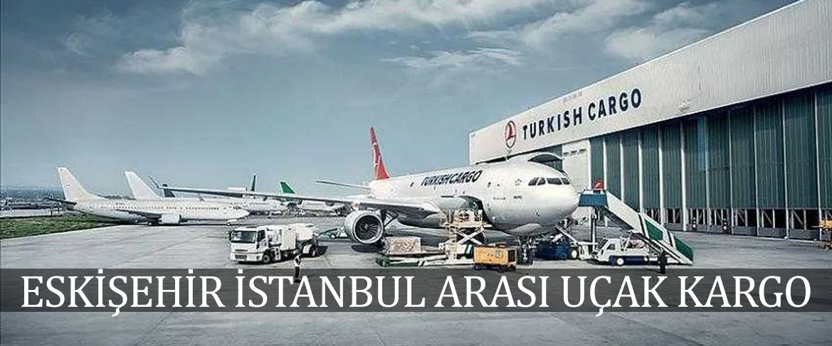 Eskişehir İstanbul Arası Uçak Kargo