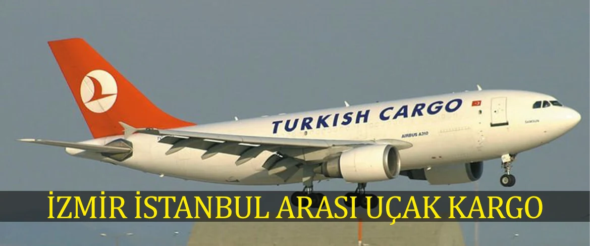 İzmir İstanbul Arası Uçak Kargo