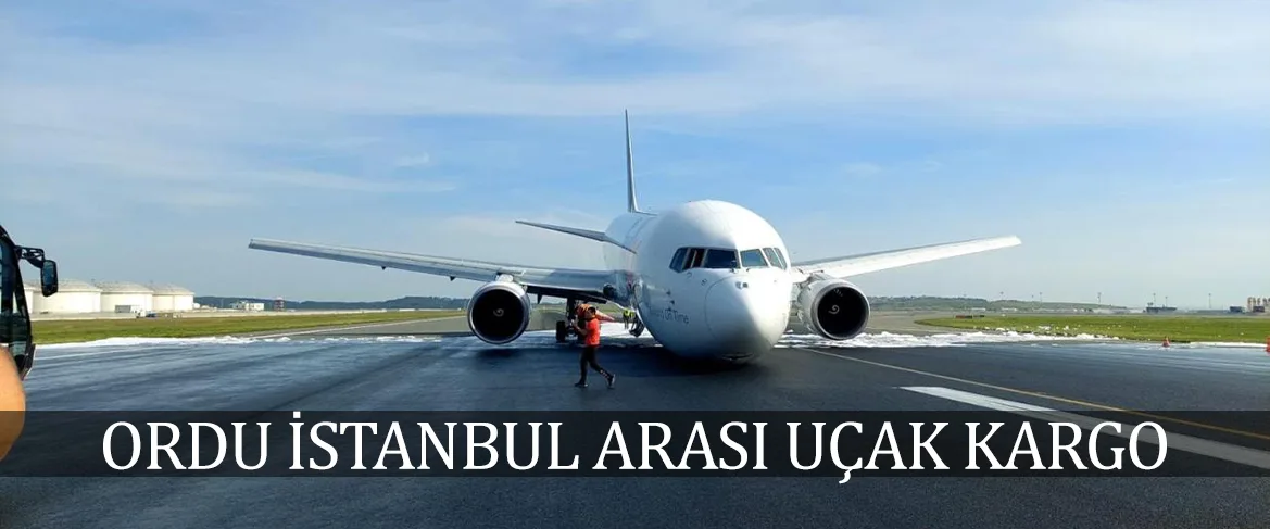 Ordu İstanbul Arası Uçak Kargo