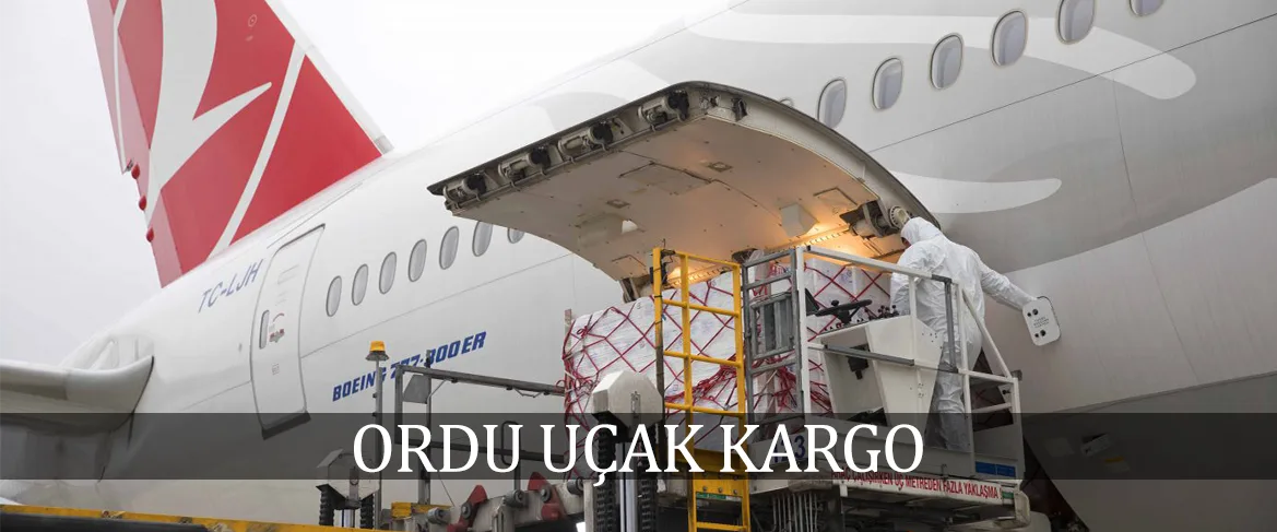 Ordu Uçak Kargo