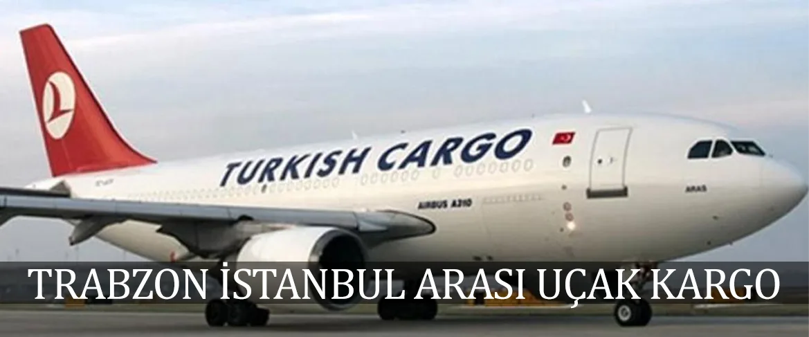 Trabzon İstanbul Arası Uçak Kargo